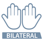 Bilateral